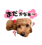 杏#01（個別スタンプ：11）