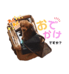 杏#01（個別スタンプ：31）