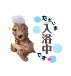 杏#01（個別スタンプ：32）