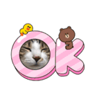 はんだとうみ（個別スタンプ：1）