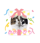 はんだとうみ（個別スタンプ：5）