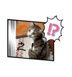 はんだとうみ（個別スタンプ：6）