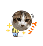 はんだとうみ（個別スタンプ：8）