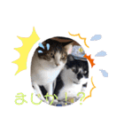 はんだとうみ（個別スタンプ：9）