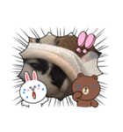 はんだとうみ（個別スタンプ：11）