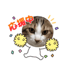 はんだとうみ（個別スタンプ：15）