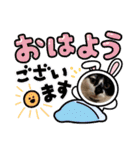 はんだとうみ（個別スタンプ：17）