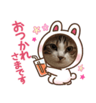 はんだとうみ（個別スタンプ：18）