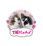 はんだとうみ（個別スタンプ：21）