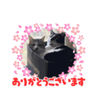 はんだとうみ（個別スタンプ：30）