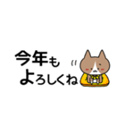 ひまねこさん第2弾【省スペース】（個別スタンプ：40）