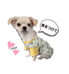 ララスタンプず1（個別スタンプ：5）