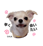 ララスタンプず1（個別スタンプ：11）