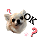 キキスタンプず1（個別スタンプ：3）