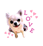 キキスタンプず1（個別スタンプ：10）