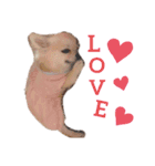 キキスタンプず1（個別スタンプ：12）