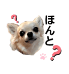キキスタンプず2（個別スタンプ：3）