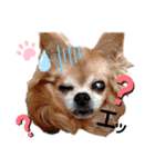 キキスタンプず2（個別スタンプ：9）