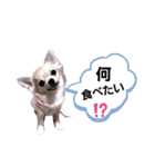 キキスタンプず4（個別スタンプ：13）