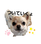 キキスタンプず4（個別スタンプ：20）