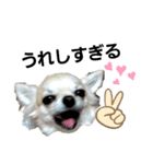 キキスタンプず5(くぅと一緒だよ)（個別スタンプ：4）