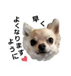 キキスタンプず5(くぅと一緒だよ)（個別スタンプ：9）