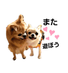 キキスタンプず5(くぅと一緒だよ)（個別スタンプ：12）