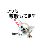 キキスタンプず5(くぅと一緒だよ)（個別スタンプ：14）
