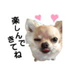 キキスタンプず5(くぅと一緒だよ)（個別スタンプ：24）