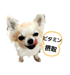 キキスタンプず6（個別スタンプ：3）