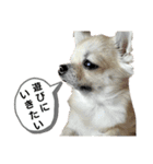 キキスタンプず6（個別スタンプ：4）