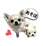 キキスタンプず6（個別スタンプ：5）