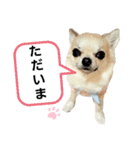キキスタンプず6（個別スタンプ：6）