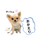 キキスタンプず6（個別スタンプ：7）