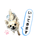 キキスタンプず6（個別スタンプ：8）
