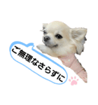 キキスタンプず6（個別スタンプ：11）