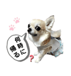 キキスタンプず6（個別スタンプ：12）