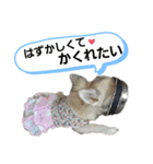 キキスタンプず6（個別スタンプ：14）