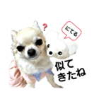 キキスタンプず6（個別スタンプ：15）