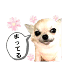 キキスタンプず6（個別スタンプ：19）