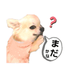 キキスタンプず6（個別スタンプ：20）