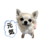 キキスタンプず11（個別スタンプ：10）
