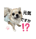 キキスタンプず11（個別スタンプ：20）