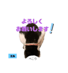 みらいねこ横濱⑧（個別スタンプ：7）