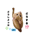 みらいねこ横濱⑧（個別スタンプ：14）