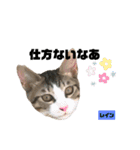 みらいねこ横濱⑧（個別スタンプ：22）