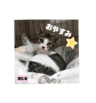 みらいねこ横濱⑧（個別スタンプ：30）