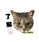 みらいねこ横濱⑧（個別スタンプ：32）