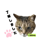 みらいねこ横濱⑧（個別スタンプ：34）