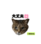 みらいねこ横濱⑧（個別スタンプ：35）